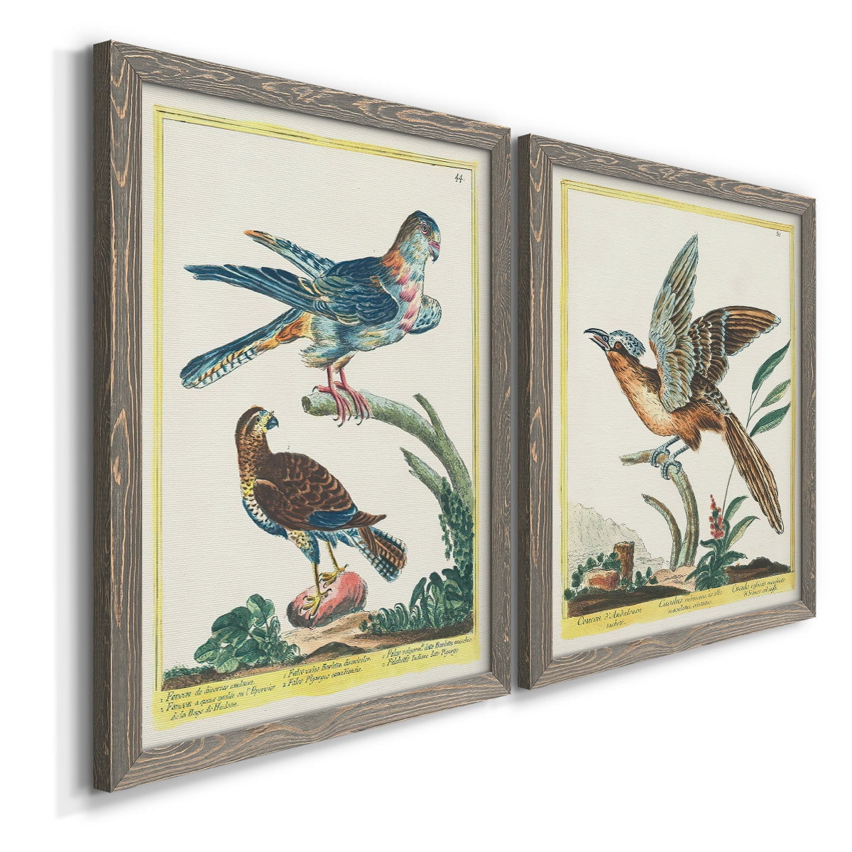 Pastel Birds III - Premium Framed Canvas 2 Piece Set - Ready to Hang