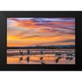 thumbnail image 2 of Fitzharris, Tim 18x14 Black Modern Framed Museum Art Print Titled - Sandhill Cranes-Bosque del Apache NWR New Mexico, 2 of 5