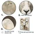 thumbnail image 3 of Designart "Portrait Of A Gentle Goat In Soft Colors" Animals Goat Floater Framed Wall Art Prints, 3 of 5