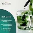 thumbnail image 3 of BioSchwartz Liquid Chlorophyll for Women - with Copper for Immune Support, Skin Health and Internal Deodorizer - Liquid Chlorophyll Supplement Drops for Women - Third Party Tested, 118 Servings, 3 of 4
