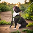 thumbnail image 5 of Didog No Pull Dog Harness Soft Adjustable Nylon Step in Puppy Strap Vest Outdoor Walking, 5 of 5