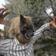 thumbnail image 4 of Werewolf Costume Wolf Claws Gloves And Head Mask For Halloween, Cosplay Costume Party, 4 of 5