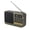 Green, variant on Bluetooth 5.0 FM Radio Portable Speaker with LED Light Support Recording TF Card USB Play Wireless Speaker Radio FM Receiver