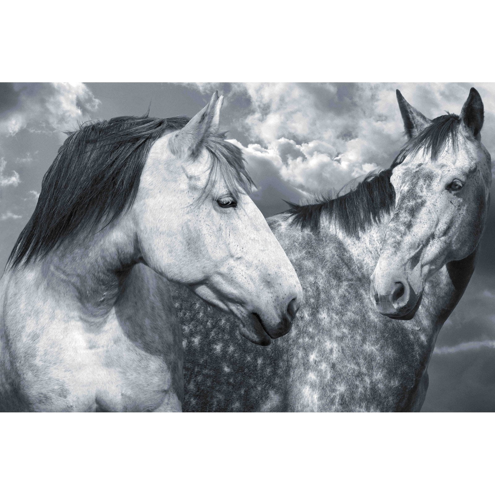 Marmont Hill "Are We Buds" by Maggie Dee Painting Print on Canvas