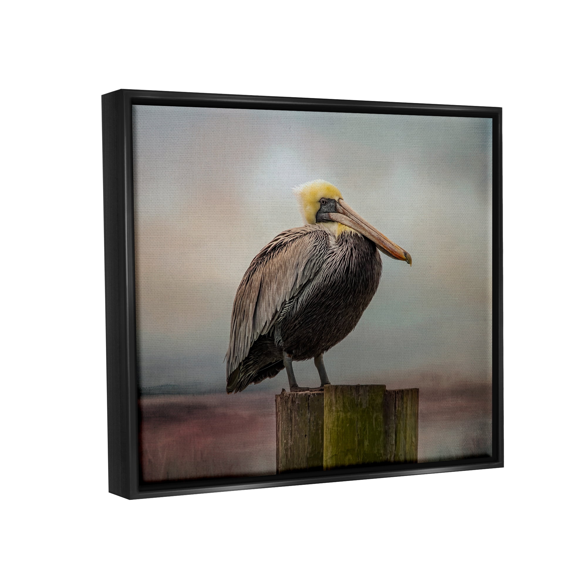 Stupell Pelican Perched Wildlife Nature Animals & Insects Photography Black Floater Framed Art Print Wall Art