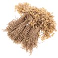 thumbnail image 3 of SHISUYAN 1000pcs Box Clothing Hanging Tablets Hanging Rope Tag Rope for Shop (General Style), 3 of 8