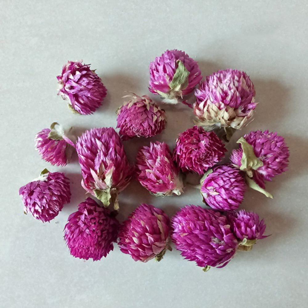  JOJAZE Dried Flower Pink Globe Amaranth Natural Dried Rose  Flowers Bundles Flowers Dried Bouquet for Wedding Table Vase Decor Boho DIY  Wreath Floral Home Office Party Garden Decoration : Home 