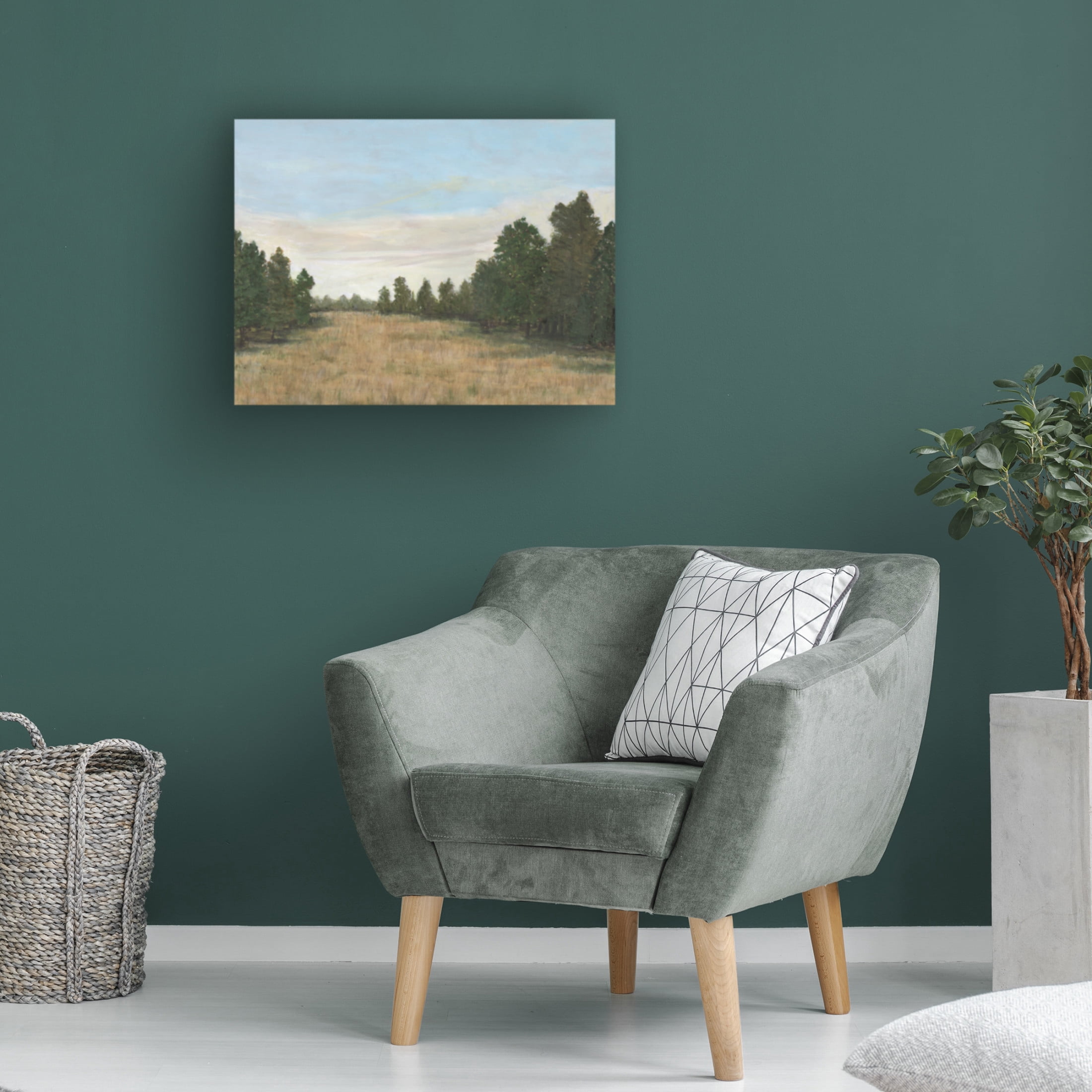 Trademark Fine Art Michael Willett  Countryside Clearing I Canvas Wall Art