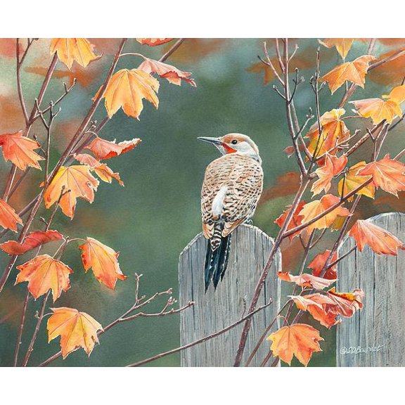 Flicker in Maple