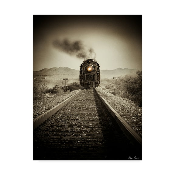 Trademark Fine Art 'Train Arrival II' Canvas Art by David Drost
