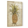 thumbnail image 2 of Epic Art 'Pineapple Study II' by Tim O'Toole, Acrylic Glass Wall Art, 16"x24", 2 of 3