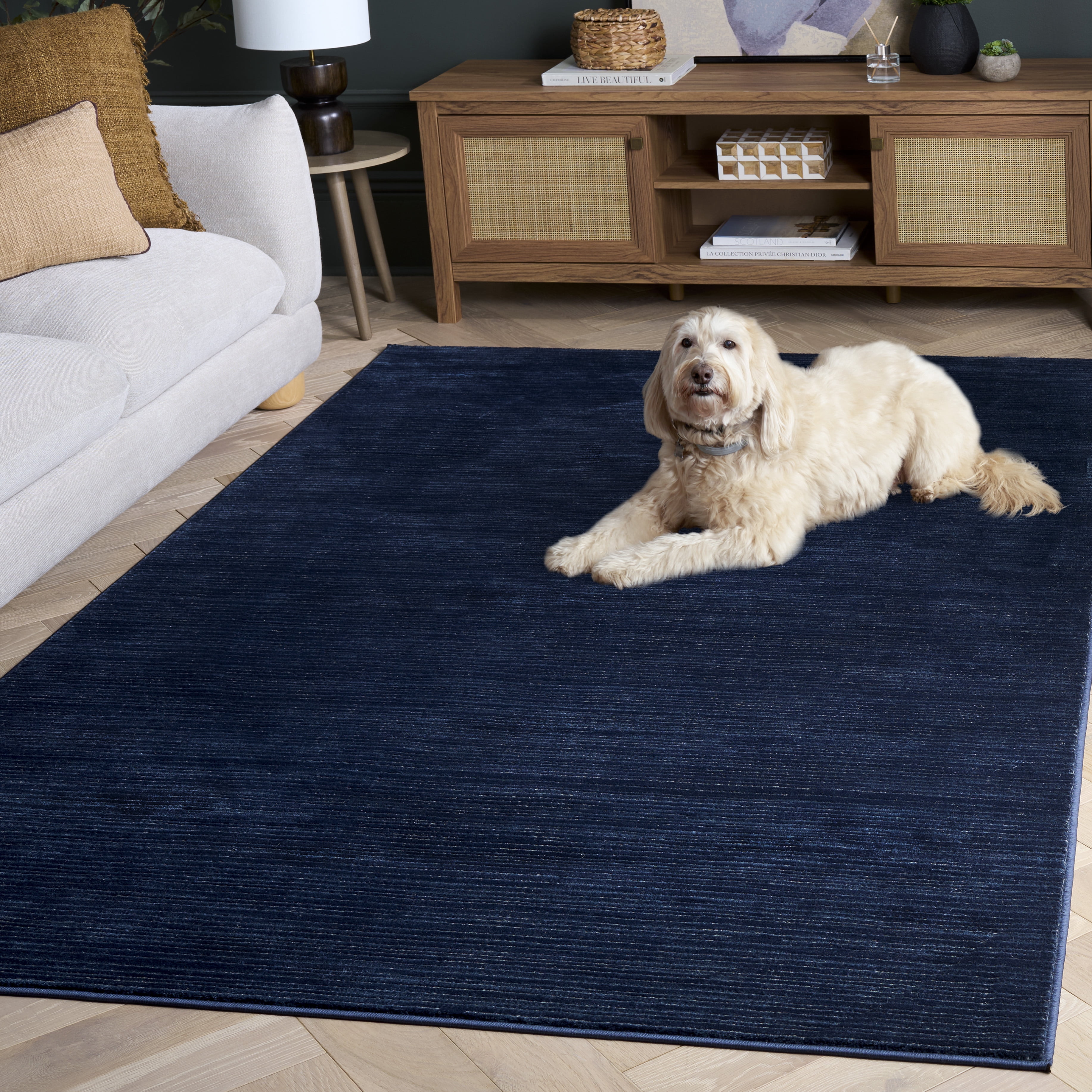 Safavieh Vision Adrasteia Distressed Area Rug, Navy, 6' x 8'