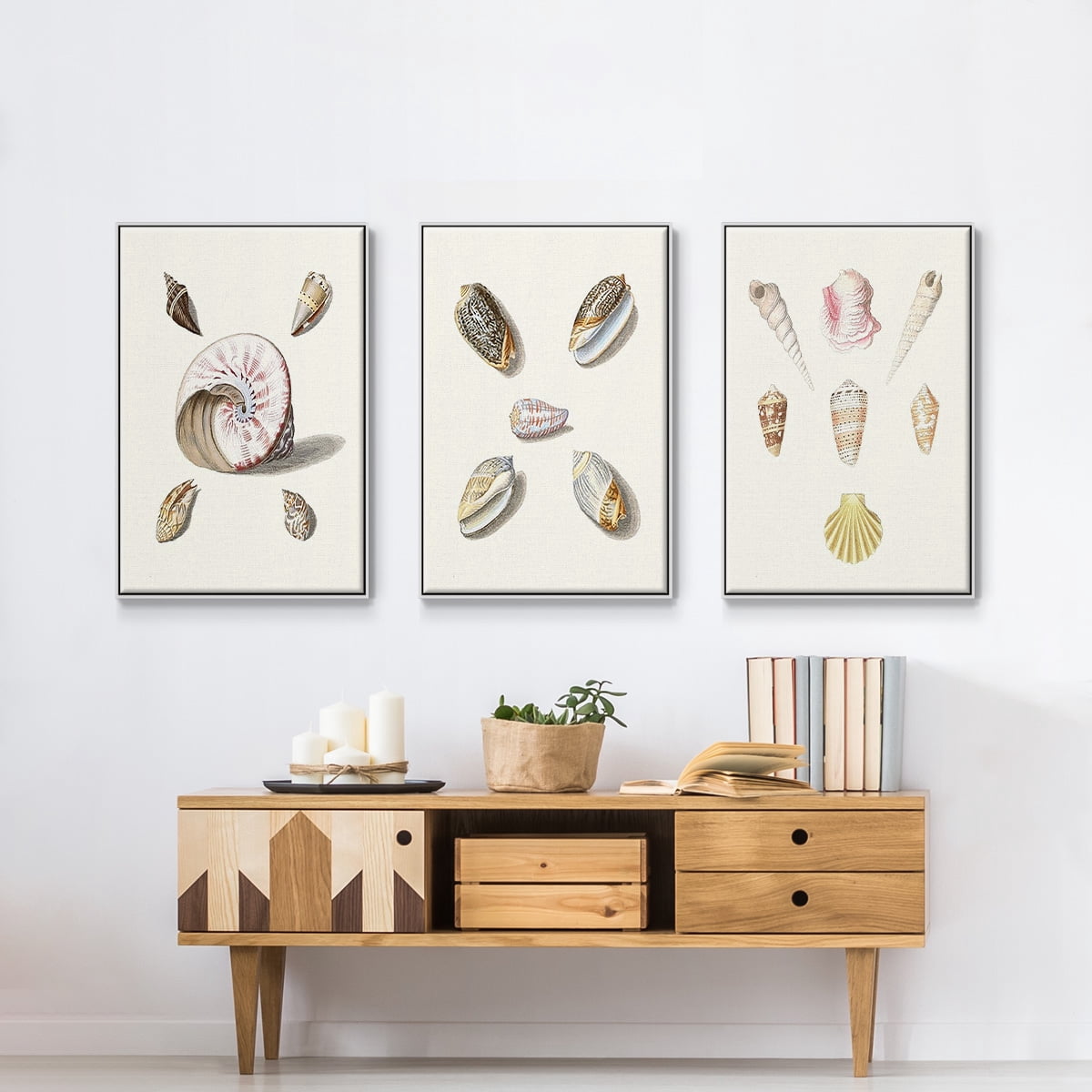 Pastel Knorr Shells I - Framed Premium Gallery Wrapped Canvas L Frame 3 Piece Set - Ready to Hang