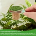 thumbnail image 2 of Jumping Spider Accessories: Magnetic Hideout – Handmade Walnut – for Enclosures & Small Pets (Tarantulas/Geckos) – Climbing Spot, 2 of 6