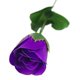 thumbnail image 1 of Rosas Perfumadas-moradas LingWen 8390614695641, 1 of 1