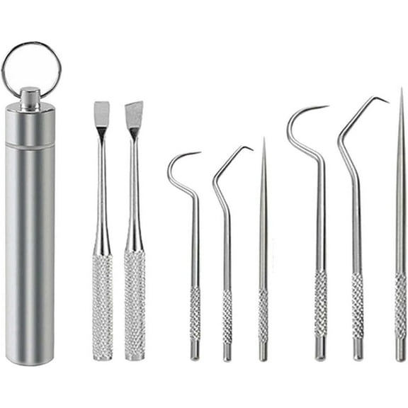 6 Pcs Stainless Steel Toothpick Set, Reusable Toothpick Metal ToothPicks for Teeth, Portable Pocket Tooth Pick with Toothpick Holder for Outdoor Travel (1 Set (8 Pcs/Set))