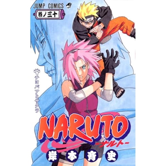 Pre-Owned Naruto 30 (Paperback) by Masashi Kishimoto