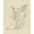 thumbnail image 3 of Nai, Danhui 12x14 Black Modern Framed Museum Art Print Titled - Vintage Nature Sketchbook VI, 3 of 5