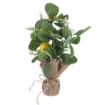 thumbnail image 2 of GOOHOCHY Tallo de planta artificial, adorno de rama de limón, arreglo floral, decoración de jarrón, 2 of 8