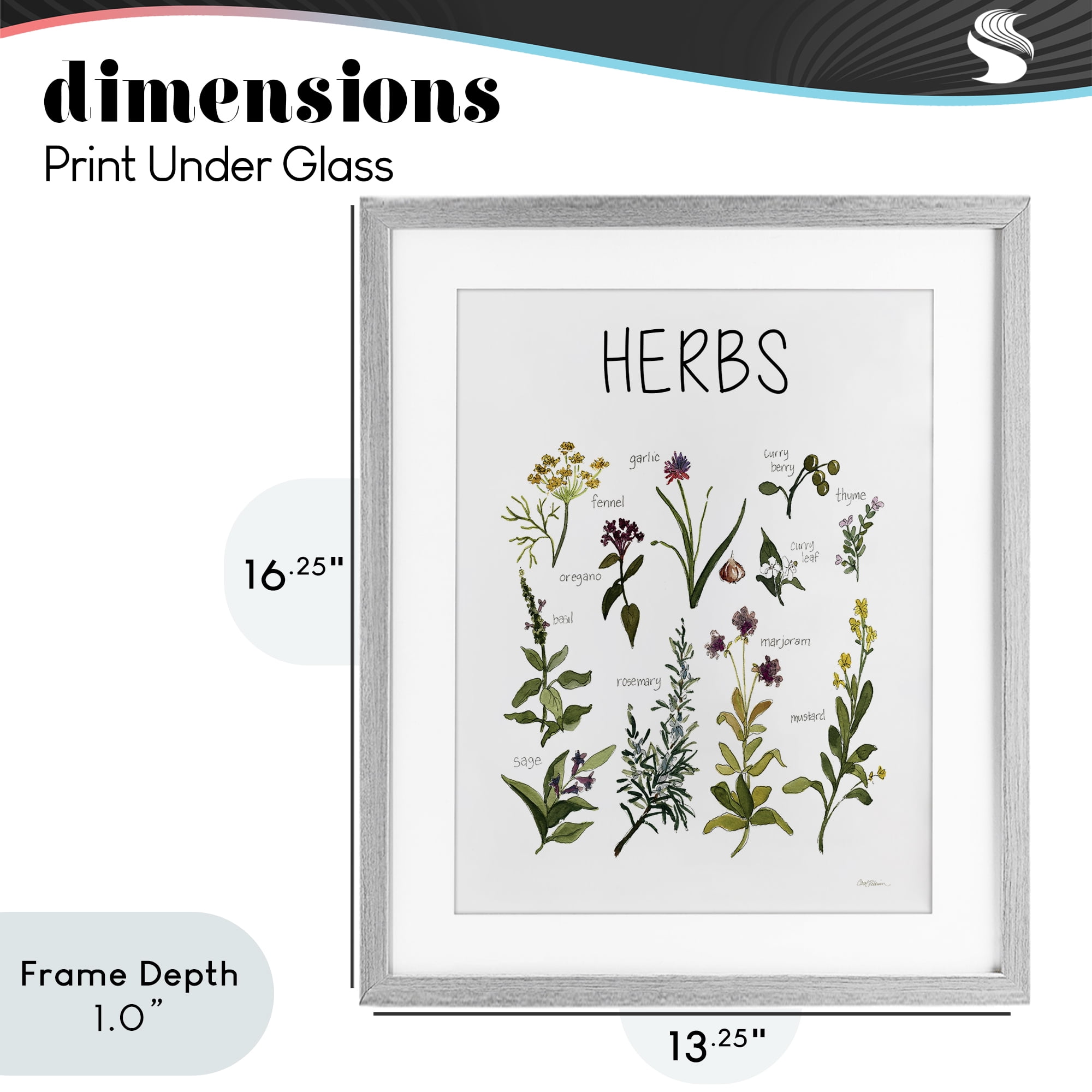 Stupell Industries Herbs Identification Chart Gray Framed Print Under Glass, design by Carol Robinson