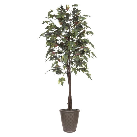 Vickerman 6' Artificial Frosted Maple, Black Plastic Pot