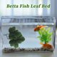 thumbnail image 5 of Cama única para peces Betta, cama de hoja Betta, hamaca de plástico para Betta, almohadilla de hamaca para Betta con ventosa verde, 5 of 7