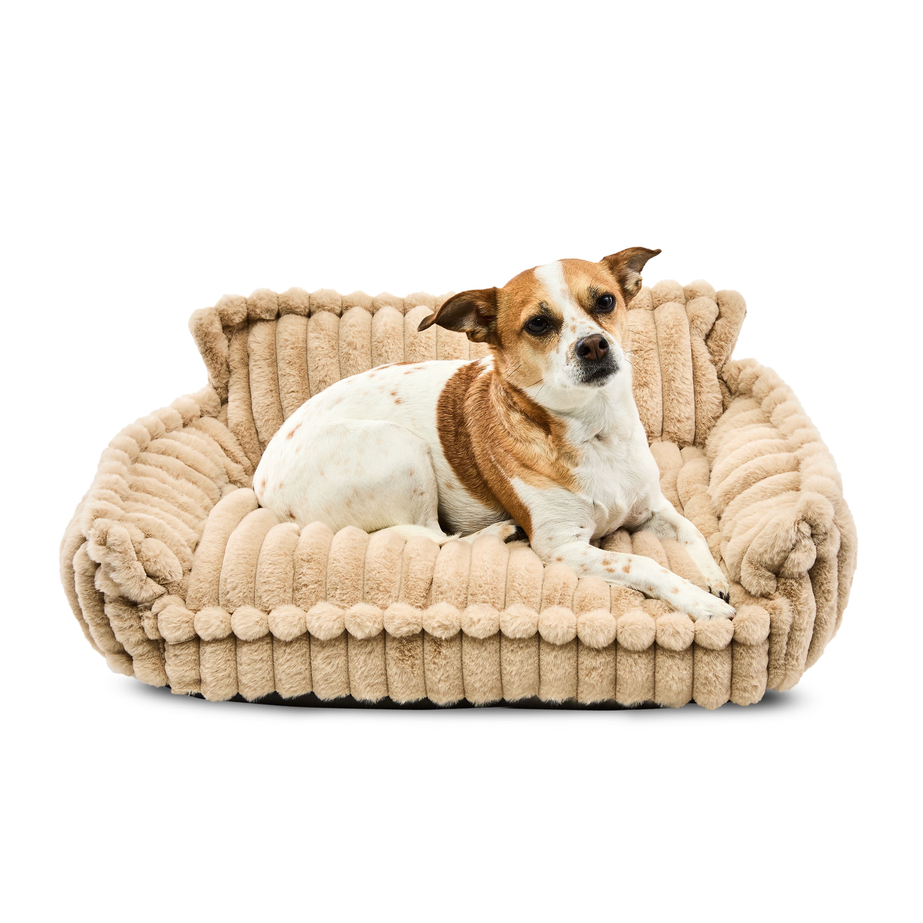 Vibrant Life Small Plush Cord Sofa Style Dog Bed, Cream, 17" x 24"