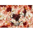 thumbnail image 2 of Bailey, Ann 18x14 White Modern Wood Framed Museum Art Print Titled - Skull Flowers, 2 of 4