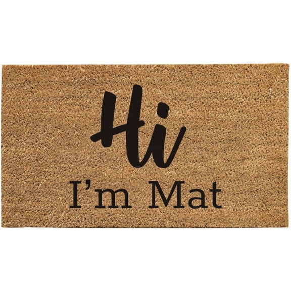 Hi I'm Mat Mats for Front Door Entry Front Porch Doormat Non-Slip Carpet Rugs Floor Mat Decorative for Home Bathroom Kitchen Indoor 18x30 Inch