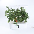 thumbnail image 2 of 10 Pods Hydroponic Growing System Indoor Garden with LED Plant, 2 of 8