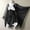 White, variant on Halloween Victorian Gothic Dress Fairy Dress for Women Renaissance Medieval Steampunk Corset Dress Butterfly Sleeve Vintage Short Dresses