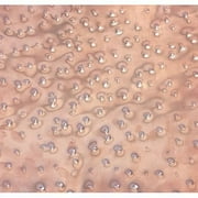Hammered Copper Sheet 36"x72" - 16oz - 0.022" Thickness - 24 Ga - Texture #2 - Free 48 State Shipping