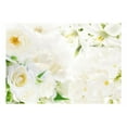 thumbnail image 3 of Tiptophomedecor Floral Wallpaper Wall Mural - White Sigh, 3 of 4
