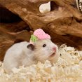 thumbnail image 5 of Adorable Hat for Small and Cats with Adjustable Strap Soft Breathable Outdoor, 5 of 5