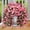 E, variant on Artificial Morning Glory Flower Stem, Fake Trailing Morning Glory for Hanging Planter, Wall Decor, Garden Trellis & Indoor Outdoor Decoration
