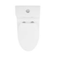 thumbnail image 4 of Avallon One-Piece Elongated Dual Flush-Toilet 1.1/1.6 gpf, 4 of 13