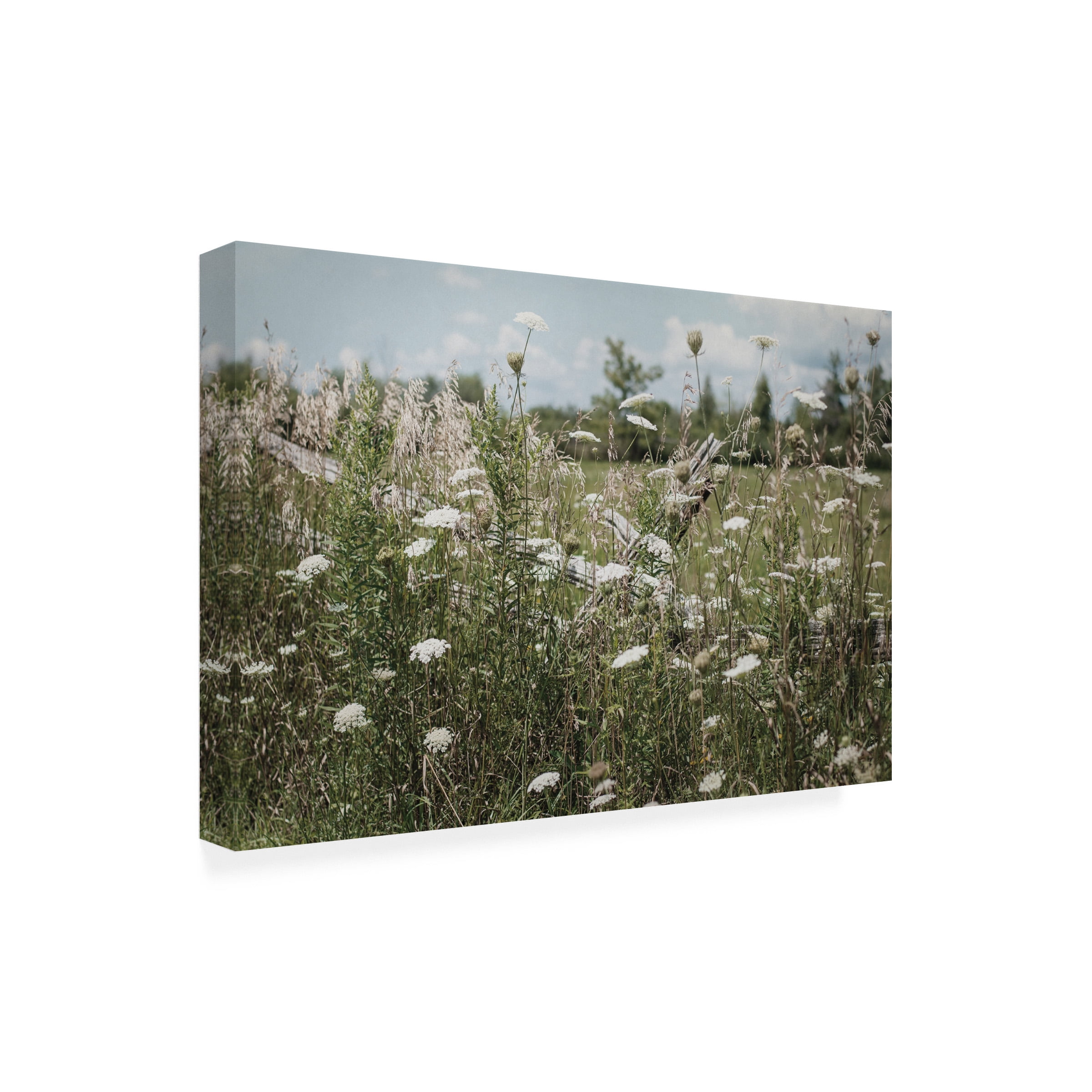 Elizabeth Urquhart 'Sun Drenched III' Outdoor Canvas