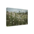 thumbnail image 2 of Elizabeth Urquhart 'Sun Drenched III' Outdoor Canvas, 2 of 3