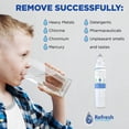 thumbnail image 3 of Filtro de agua para refrigerador Refresh R-9490 compatible con LG, 3 of 7