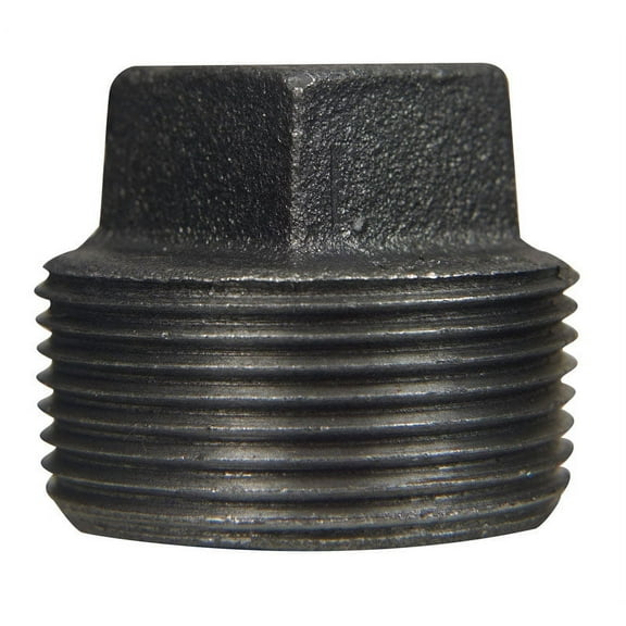 B&K 1 In. Malleable Black Iron Pipe Plug 521-805HN