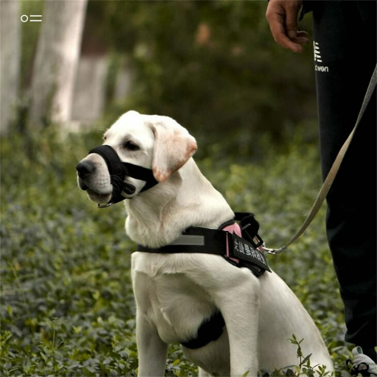 Paracord Dog Leash Leash With Pull Stop Necklaces with Names Harness With Leash Necklace Luminous Dog Muzzle Nylon Dog Muzzlemask Antibiting Leash With Pull Stop Necklace Luminous Paracord Dog Leash W...