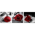 thumbnail image 6 of Canvas Print 3 Pcs Black and White Red Rose Canvas Art Painting Red Wall Art Decorations Flower Picture on Canvas for Home Decor Stretched and Framed 3 Panels Ready to Hang 12"x12", 6 of 6