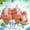 Orange, variant on Reusable Popsicle Molds Watermelon Shape Easy To Demould Drip-Proof Homemade Frozen Treat Maker