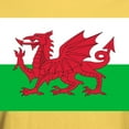 thumbnail image 3 of CafePress - Welsh Flag Of Wales T Shirt - Men's Classic Graphic T-Shirt, 3 of 4