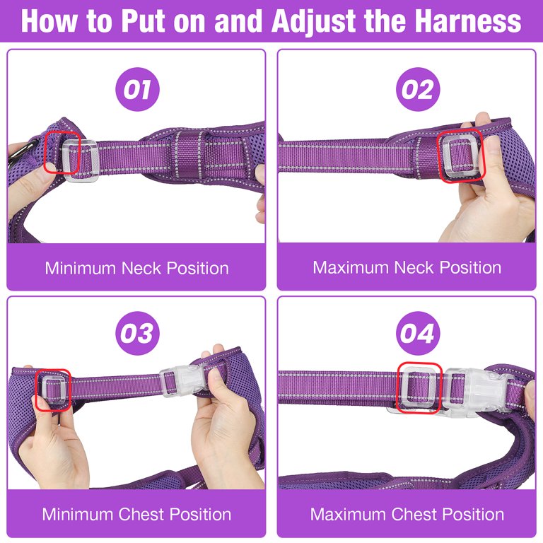 Jewyow No-Pull Dog Harness, Medium, Purple photo 7