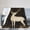 50x40, variant on White Deer Celestial Blanket Gift Throw Blanket Gold Antlers Forest Gift for Deer Lovers Room Decor 50x40