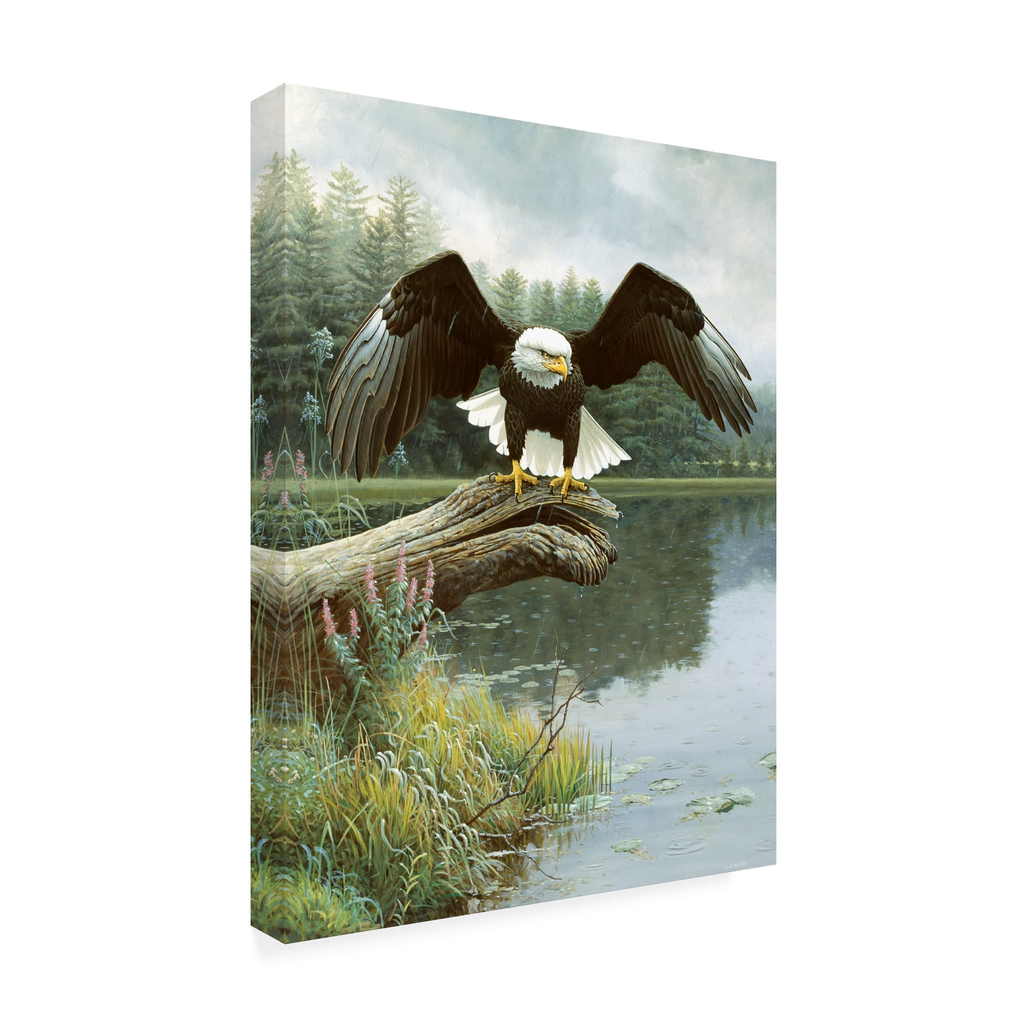 Trademark Fine Art 'Majestic Showers' Canvas Art by Michael Budden