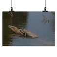 thumbnail image 2 of Print: Gator Alley At The D'olive Boardwalk Park In Daphne, Alabama, Is, 2 of 4