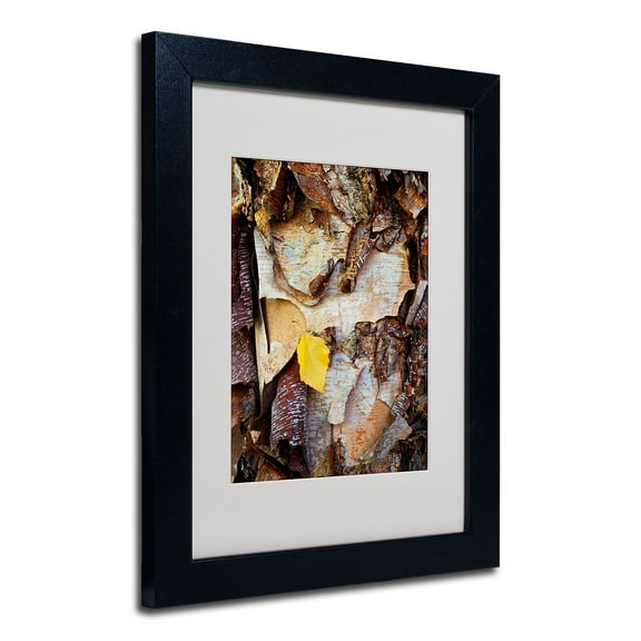 Trademark Fine Art "Birch Leaf" Canvas Art by Kurt Shaffer, Black Frame