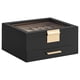 thumbnail image 1 of Joyero SONGMICS de 2 capas con tapa de vidrio para joyas grandes y pequeñas, 1 of 6